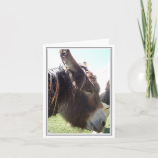 Donkey-Blank-Karte Karte