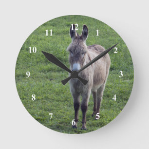 Donkey Brown Tan Animal Foto Runde Wanduhr