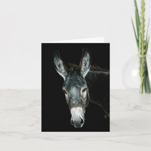 Donkey Card - "Rocky" Karte