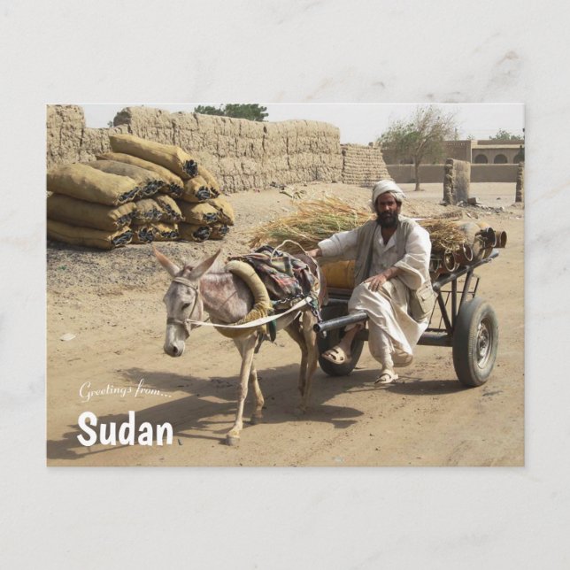Donkey Cart im Sudan Postkarte (Vorderseite)