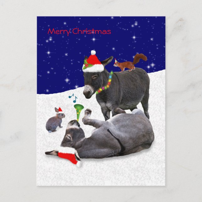 Donkey Daze Postcard Postkarte (Vorderseite)