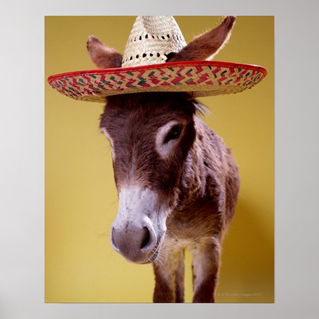 Donkey (Equus hemonius), mit Strohhut Poster (Vorne)