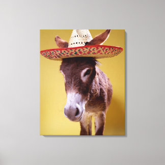 Donkey (Equus hemonius) wearing straw Leinwanddruck