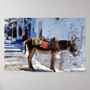 Donkey, Fira Santorini, Griechenland Poster