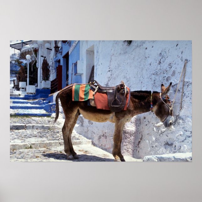 Donkey, Fira Santorini, Griechenland Poster (Vorne)