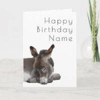 Donkey Foal Deko Birthday