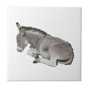 Donkey Foal Fliese