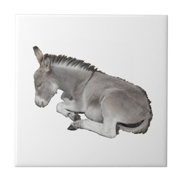 Donkey Foal Fliese (Vorderseite)