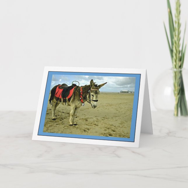 Donkey Foto Grußkarte Karte (Vorderseite)