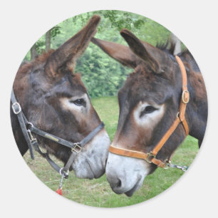 Donkey-Freunde Runder Aufkleber