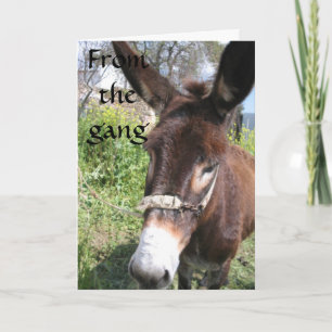 DONKEY GROUP BIRTHDAY WISHES KARTE