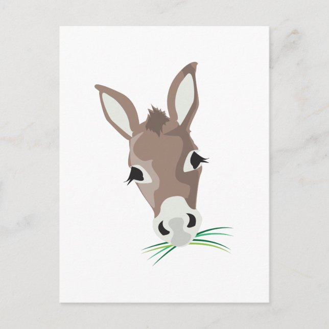 Donkey Head Postkarte (Vorderseite)