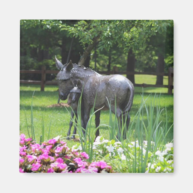 Donkey im Garden-Magneten Magnet (Vorne)