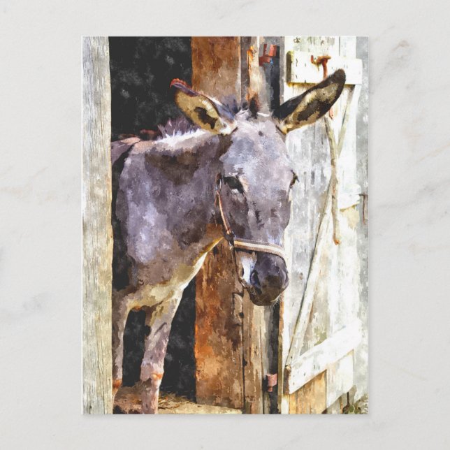 Donkey in Aquarellfarbe Postkarte (Vorderseite)