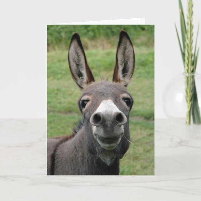 Donkey Karte (Vorderseite)