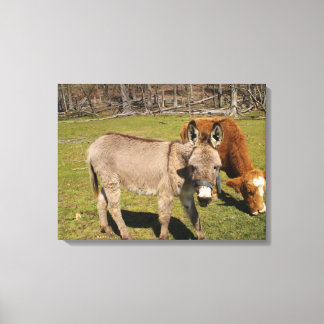 Donkey/Kuh gesteppte Canvas drucken Leinwanddruck