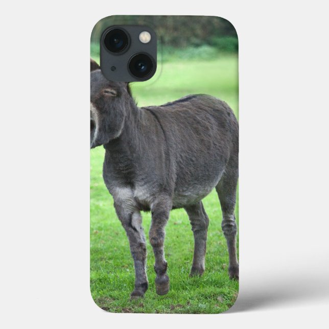 Donkey Laugh iPad Mini Fall Case-Mate iPhone Hülle (Rückseite)