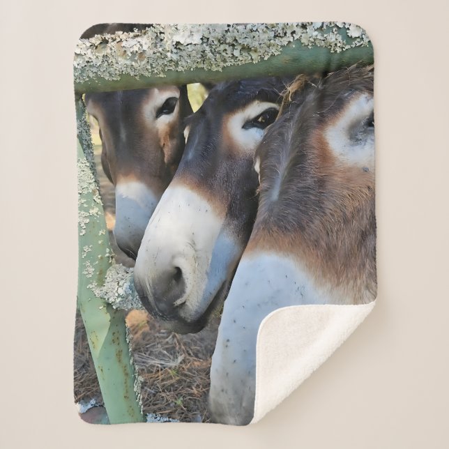 Donkey Liebe Sherpa Blanket Sherpadecke (Vorderseite)