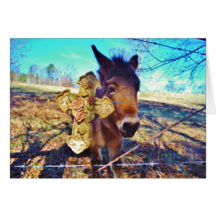 Donkey mit Rose Cross