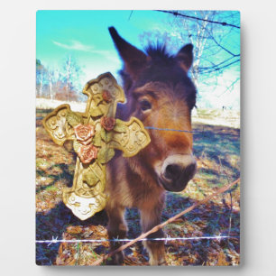Donkey mit Rose Cross Fotoplatte