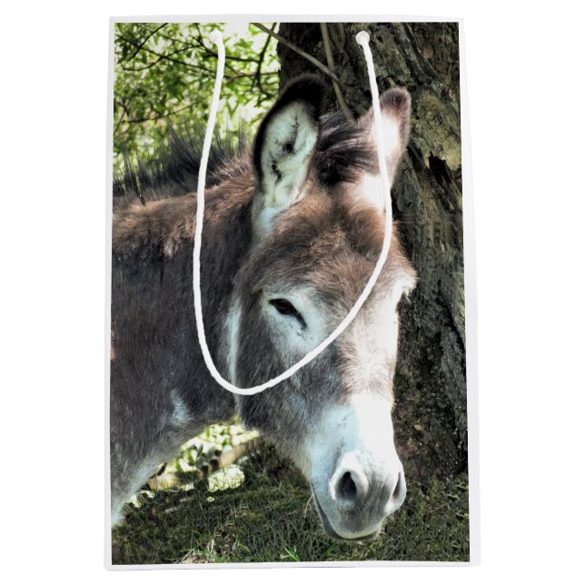 DONKEY MITTLERE GESCHENKTÜTE (Vorderseite)