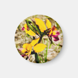 Donkey Orchids Magnet