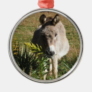 Donkey Picking Gelben Herbst Wildblumen Ornament Aus Metall