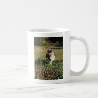 Donkey Picking Gelben Herbst Wildblumen Tasse