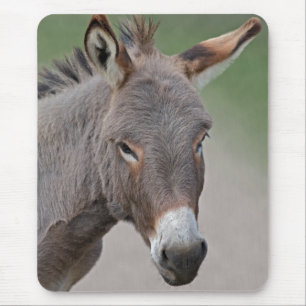 Donkey Portrait Mouse Mat Mousepad