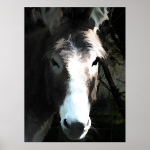 DONKEY POSTER