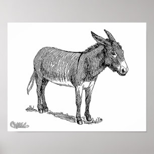 Donkey Poster