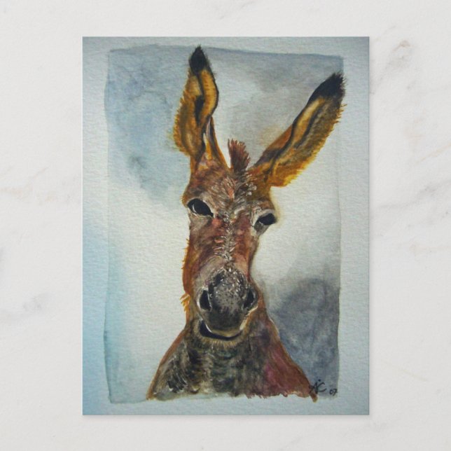 Donkey Postkarte (Vorderseite)