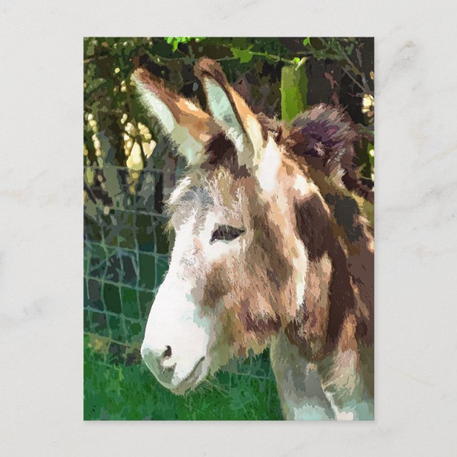 DONKEY POSTKARTE (Vorderseite)