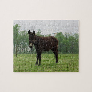 Donkey-Puzzle Puzzle