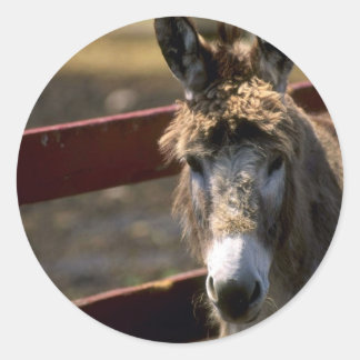 Donkey Runder Aufkleber