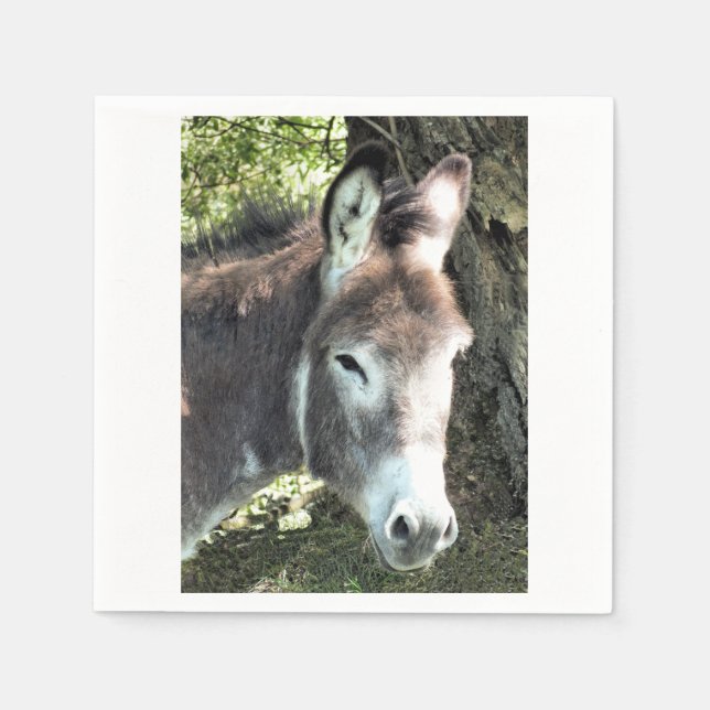 DONKEY SERVIETTE (Vorderseite)