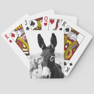 Donkey Spielkarten