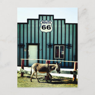 Donkey Town Oatman Arizona Ankündigungspostkarte