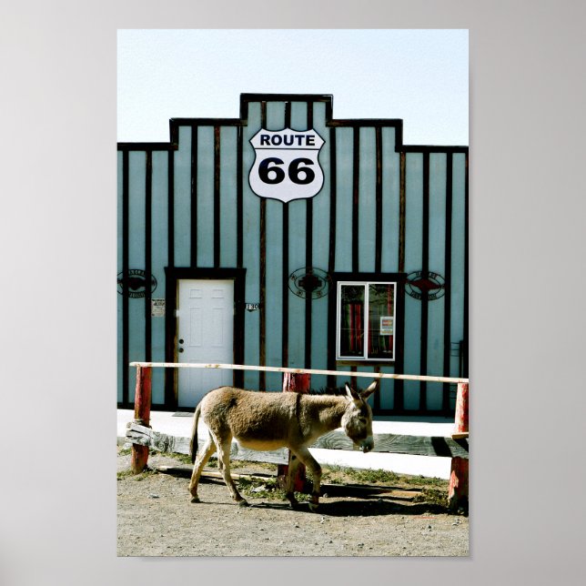 Donkey Town Oatman Arizona Poster (Vorne)