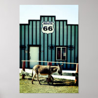 Donkey Town Oatman Arizona