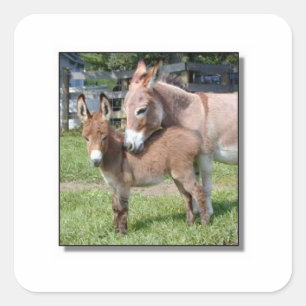 Donkey und Baby Quadratischer Aufkleber