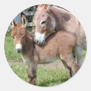 Donkey und Baby Runder Aufkleber