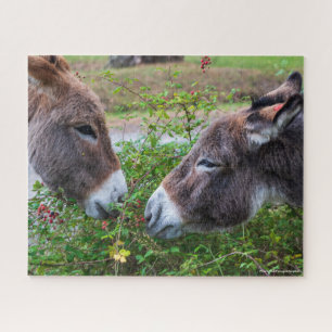 Donkeys, 520pcs, puzzle