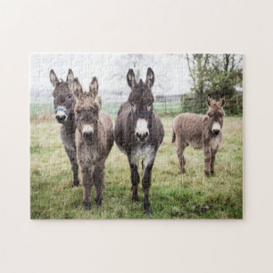 Donkeys auf einem misty Wintermorgen Puzzle
