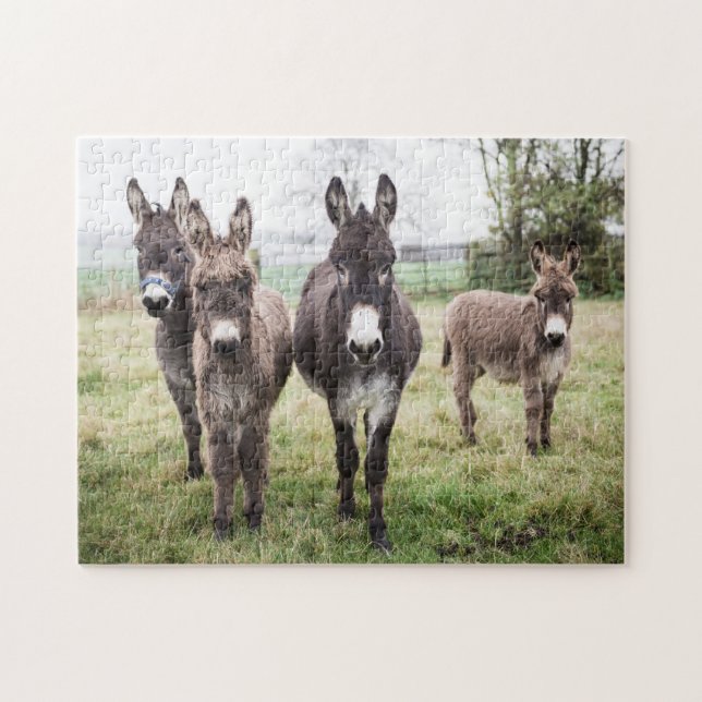Donkeys auf einem misty Wintermorgen Puzzle (Horizontal)