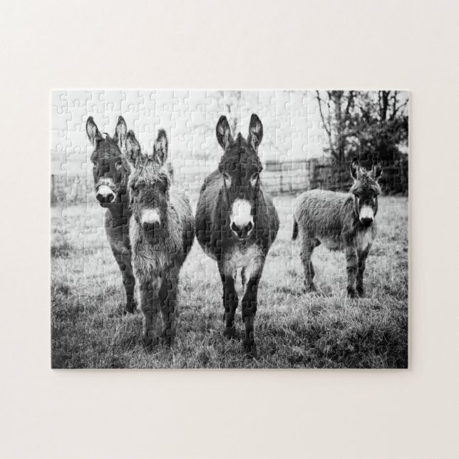 Donkeys Puzzle (Horizontal)