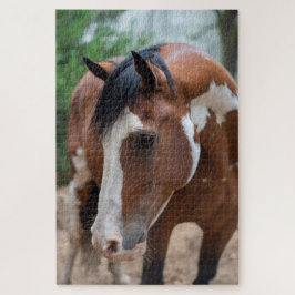 Donner-Pose Puzzle