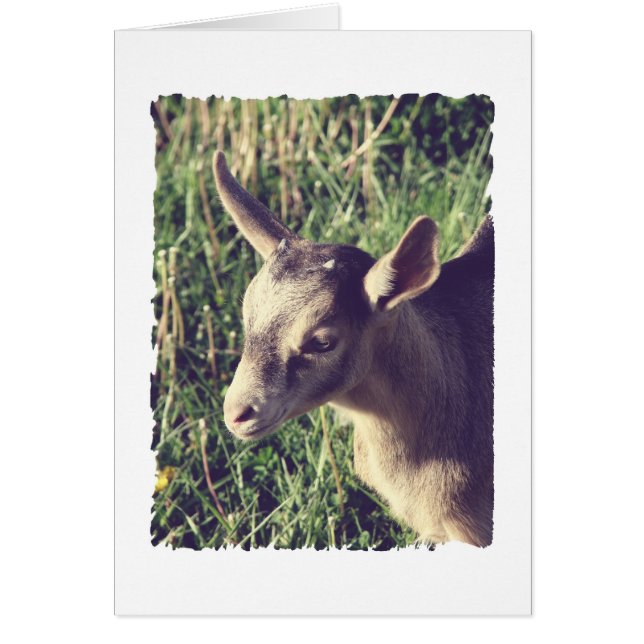 Donner Vintag (Vorne)