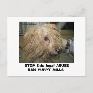 DonnerBichon12-10-08 (42), STOP diese rechtliche A Postkarte