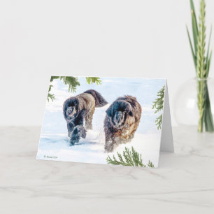 Donnern in das neue Jahr! Feiertagskarte